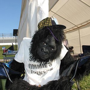 Our Campsite Mascot