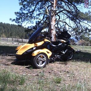 786x576 Ca HWY 36 6