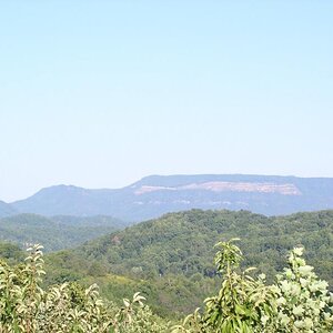 P1010003