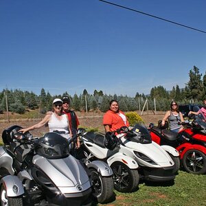 IMG 5262