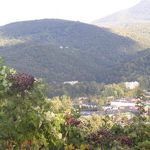 P1010083