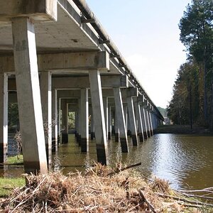 Savannah River