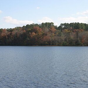 Savannah River
