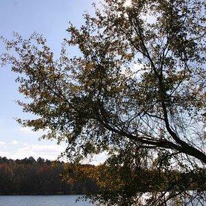 Savannah River