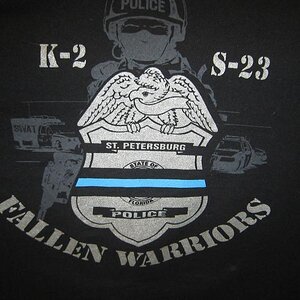 Fallen Warriors