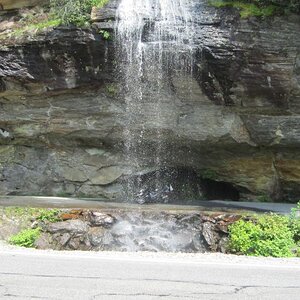 IMG 0230