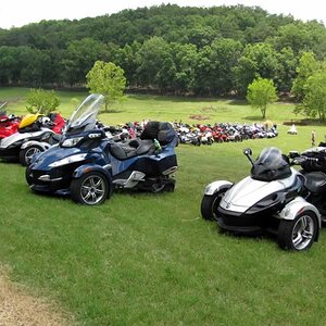 Spyders on the lawn