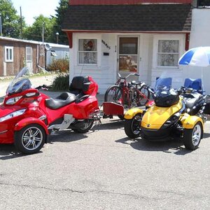 Bellevue Show 2011