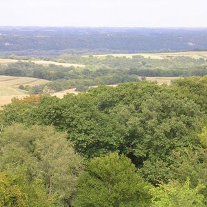 DSCN2129