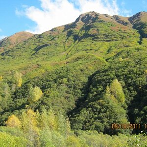 Hatcher Pass