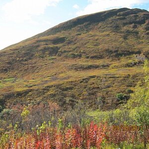 Hatchers Pass