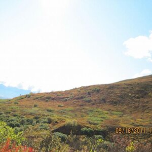hatchers Pass