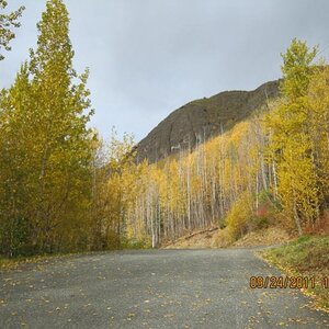 Mile High Rd.