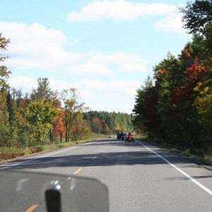 Nice fall colors!