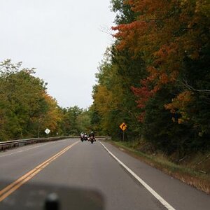Fall Colors