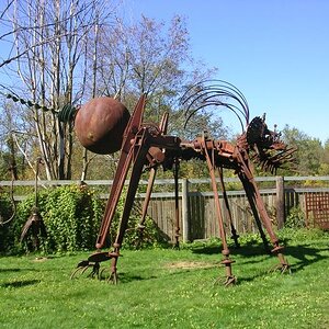 DSCN2188