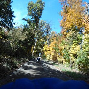 DSC00266 L