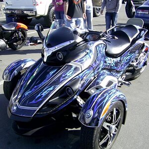 PIC 1729