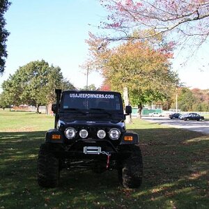 my beast (3)