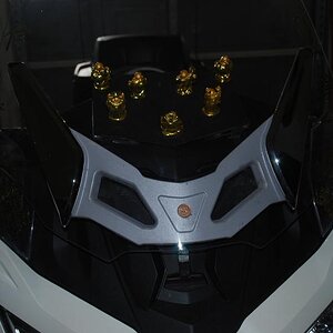 DSC 0198