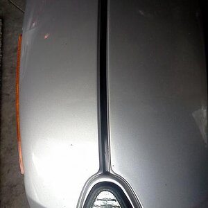 Pin Stripe Fender