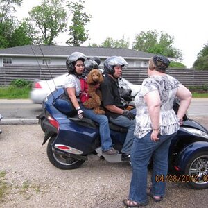 IMG 0203