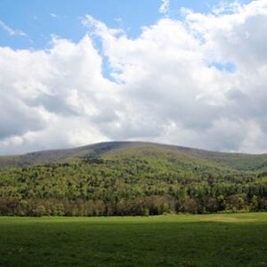 IMG 1552 (500x333)