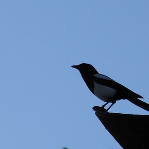 smDSCN0054