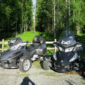 Our Spyders at home