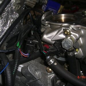 CIMG6268sm