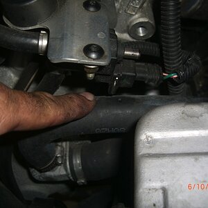 CIMG6270sm