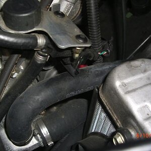 CIMG6271sm