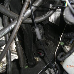 CIMG6274sm
