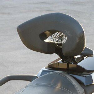 spider in backrest