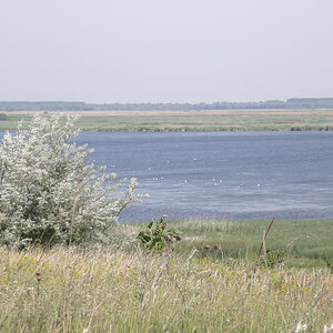 RS P6070116