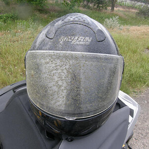 RS P6080166