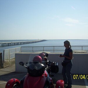 Jay at the Bay