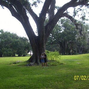Us again!