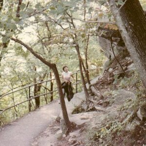 JenSmokies