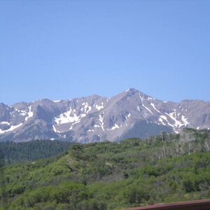 Above the Tree Line