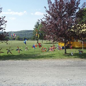 magog 1 18