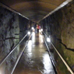 DSCF2776