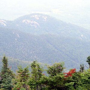 DSCF2783