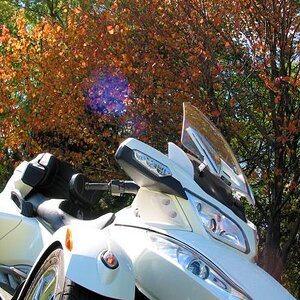 Fall Photo