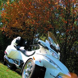 Fall Photos