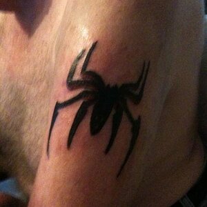 Spyder 005