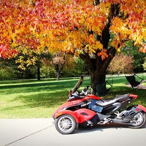 FallSpy6RS