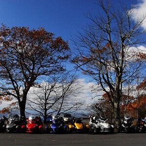 Spyders5