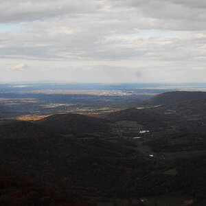 View1