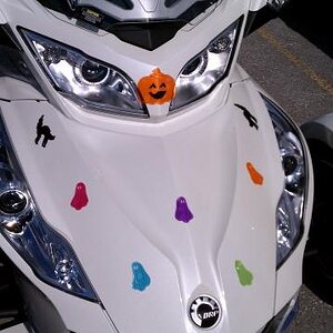 Rady for Halloween